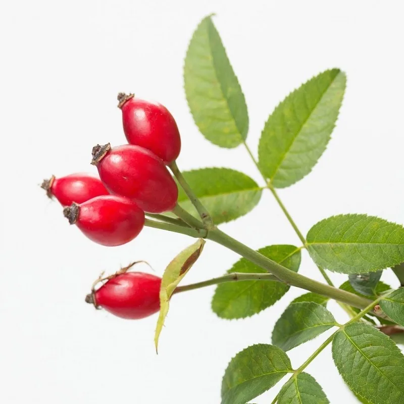 سرم‌ روغن دانه رزهیپ (Rose Hip) اوردینری، ضد جوش، کنترل چربی، آبرسانی، 30 میل